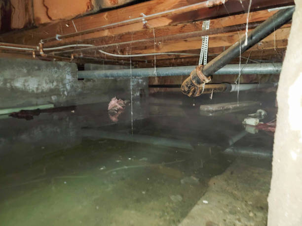 Best Water damage cleanup near me  in Madera Acres, CA