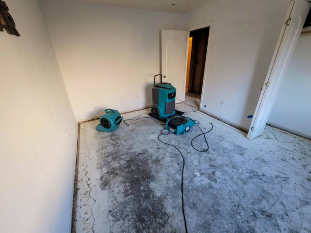 Best Water damage contractors near me  in Madera Acres, CA