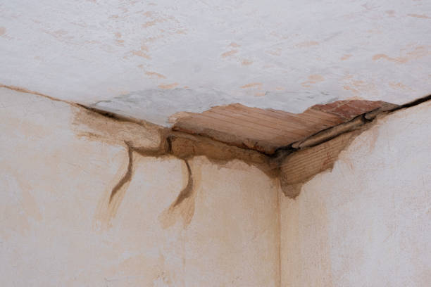 Best Basement water damage restoration  in Madera Acres, CA