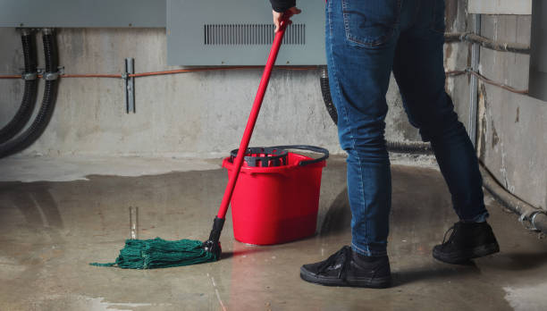Best Mold removal after water damage  in Madera Acres, CA