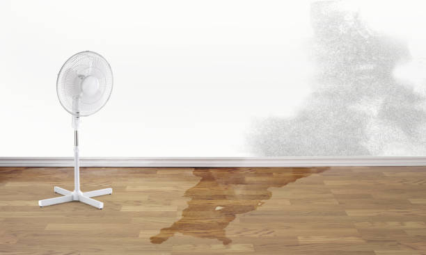 Best Water damage mitigation services  in Madera Acres, CA