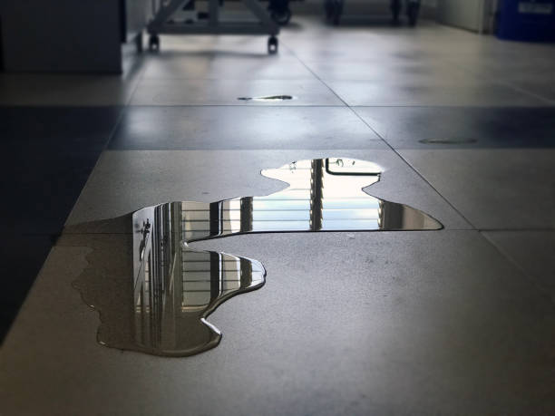 Best Water damage restoration near me  in Madera Acres, CA