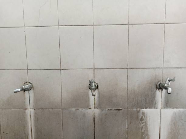 Best Carpet water damage restoration  in Madera Acres, CA