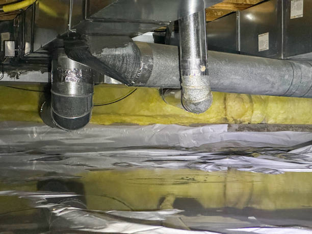 Best Local water damage restoration  in Madera Acres, CA