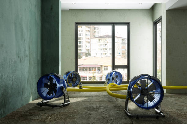 Best Flood restoration services  in Madera Acres, CA
