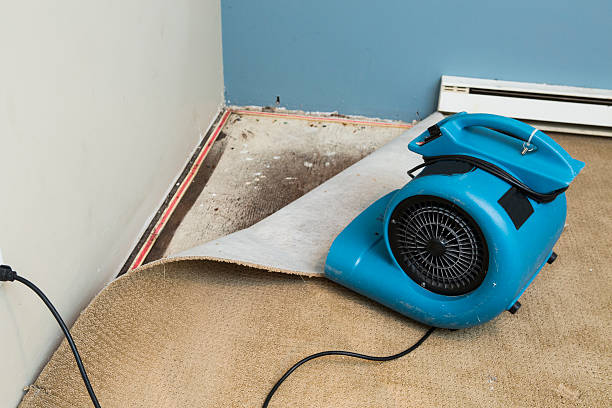 Best Water damage restoration process  in Madera Acres, CA